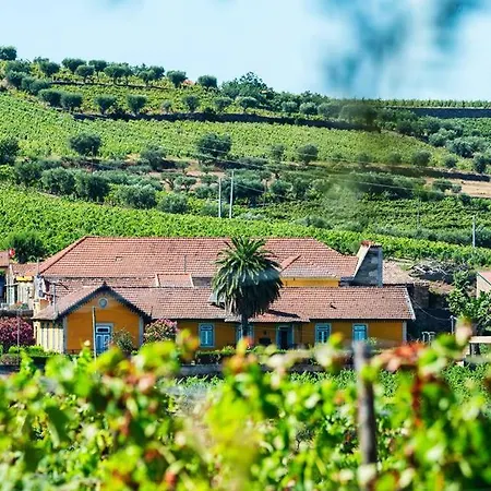 Quinta Do Monte Travesso - Country Houses & Winery-3